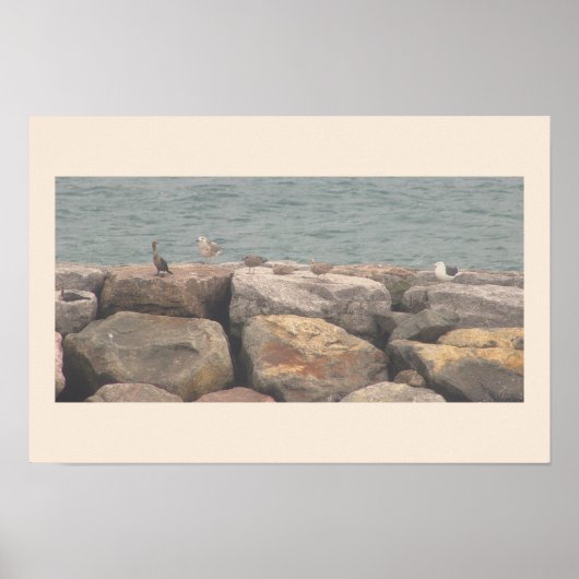 Rocks with Birds Ocean Waterscape Poster (Voorkant)
