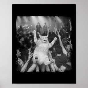 Rockshow Kat Meme Grappige Humor Tabby Kat Menigte Poster