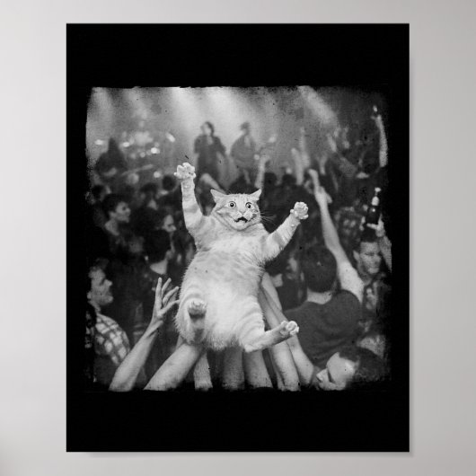 Rockshow Kat Meme Grappige Humor Tabby Kat Menigte Poster (Voorkant)