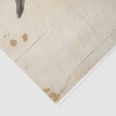 Rockstar Bunny in Tissue Paper Tissuepapier (Detail)