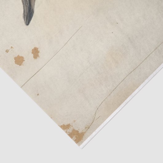 Rockstar Bunny in Tissue Paper Tissuepapier (Detail)