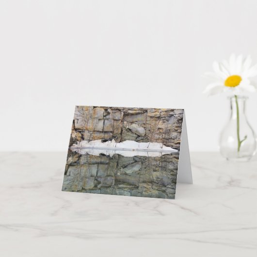 Rocksteengroeve Muurreflecties #2 Natuurbericht Kaart (Kleine Plant)