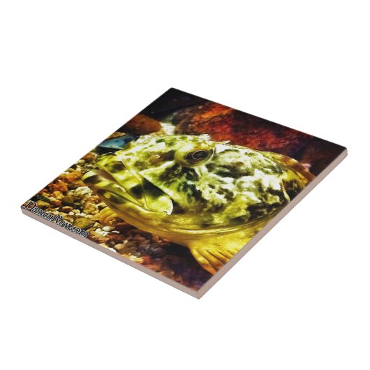 Rockvis Tegeltje (Zijkant)