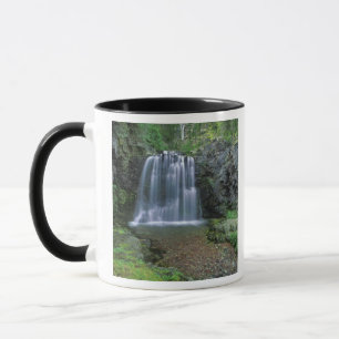 Rockwell Falls in de Two Medicine-vallei van Mok
