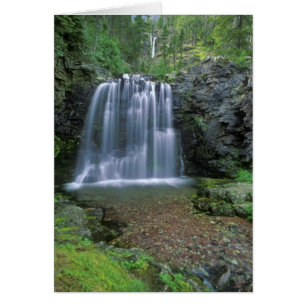 Rockwell-Herfsten in de Two Medicine Valley of