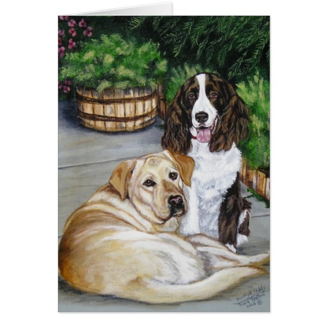 "Rocky and Teddy" (Voorkant)