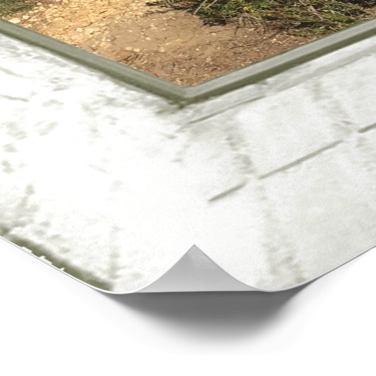 Rocky Beach Faux Window Poster (Hoek)