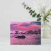 Rocky Beach met roze en paarse sunset Post Kaart (Staand voorkant)