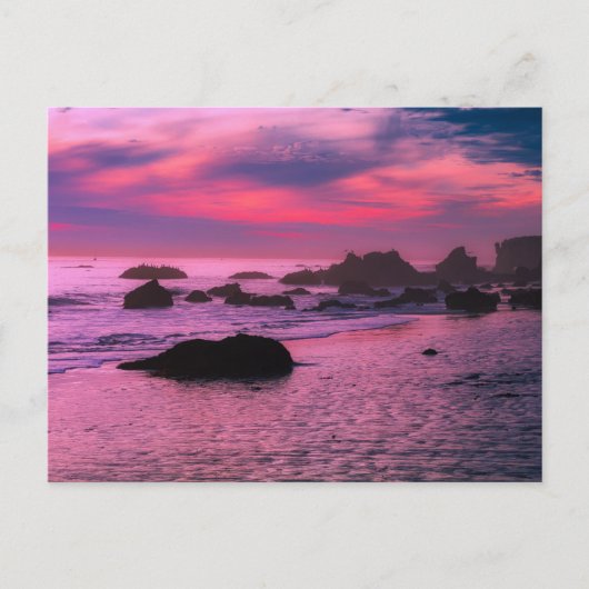 Rocky Beach met roze en paarse sunset Post Kaart (Voorkant)