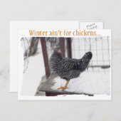 Rocky briefkaart (Voorkant / Achterkant)