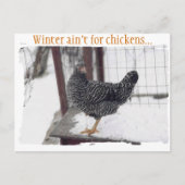 Rocky briefkaart (Voorkant)