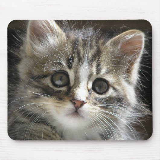Rocky de Kitten Mousepad Muismat (Voorkant)