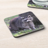 Rocky de Raccoon Bier Onderzetter (Linkerzijde)