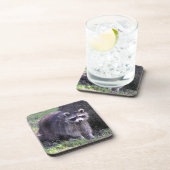 Rocky de Raccoon Bier Onderzetter (Rechterzijde)