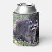 Rocky de Raccoon Blikjeskoeler (Blikje Achterkant)