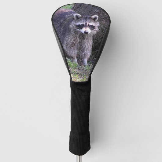 Rocky de Raccoon Golfheadcover (Voorkant)