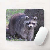 Rocky de Raccoon Muismat (Met muis)