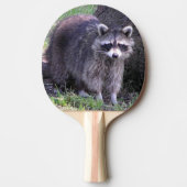 Rocky de Raccoon Tafeltennisbatje (Voorkant)