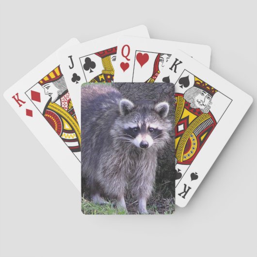 Rocky de wasbeer pokerkaarten (Achterkant)