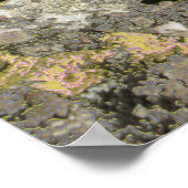 Rocky Field Poster (Hoek)