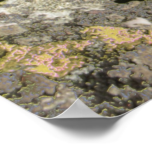 Rocky Field Poster (Hoek)