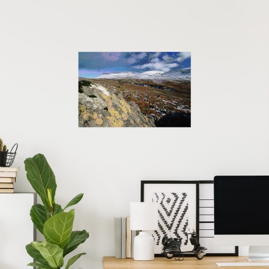 Rocky Field Poster (Thuiskantoor)