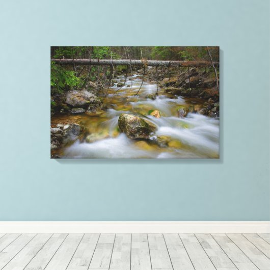Rocky forest creek canvas print (Insitu (Houten vloer))