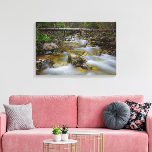 Rocky forest creek canvas print (Insitu (Woonkamer))