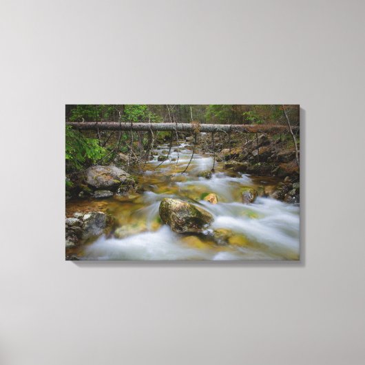 Rocky forest creek canvas print (Voorkant)