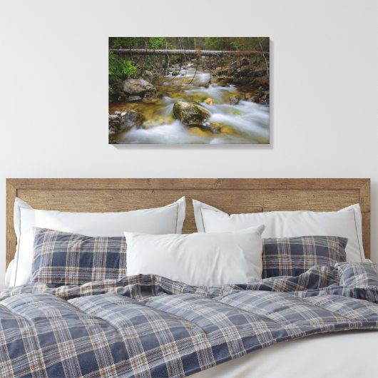 Rocky forest creek canvas print (Insitu (Slaapkamer))