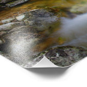 Rocky Forest Creek fotoprint Foto Afdruk (Hoek)