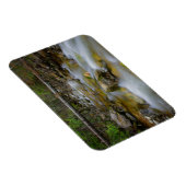 Rocky Forest Creek rechthoekige magneet (Rechterzijde)