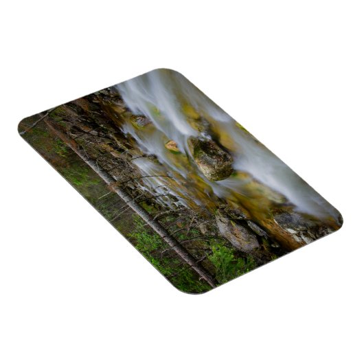 Rocky Forest Creek rechthoekige magneet (Rechterzijde)