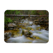 Rocky Forest Creek rechthoekige magneet (Horizontaal)