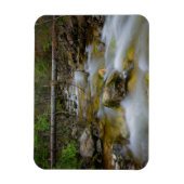 Rocky Forest Creek rechthoekige magneet (Verticaal)