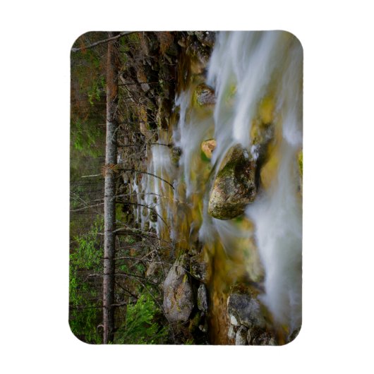Rocky Forest Creek rechthoekige magneet (Verticaal)