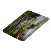 Rocky Forest Creek rechthoekige magneet (Linkerzijde)
