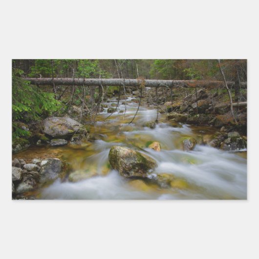 Rocky forest creek rechthoekige sticker (Voorkant)