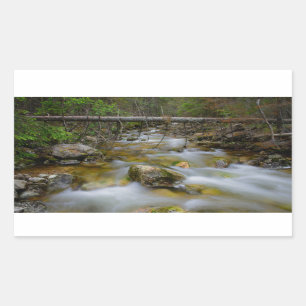 Rocky forest creek rechthoekige sticker