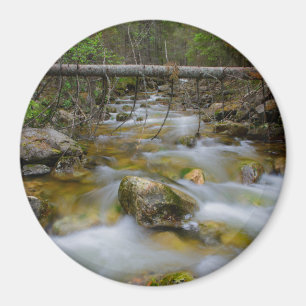 Rocky Forest Creek-ronde magneet