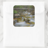 Rocky forest creek sticker (Tas)