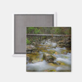 Rocky Forest kreek magneet (Voorkant / Achterkant)