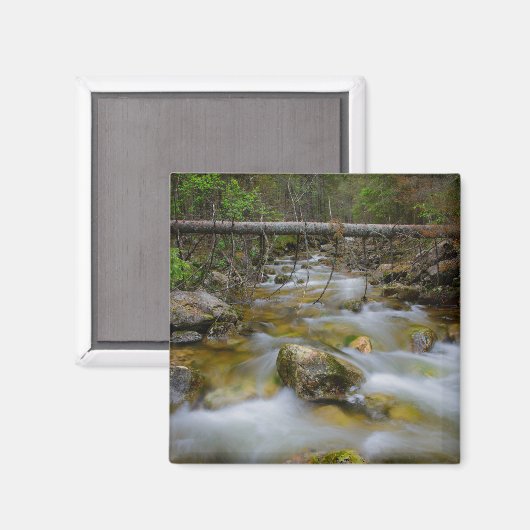 Rocky Forest kreek magneet (Voorkant / Achterkant)