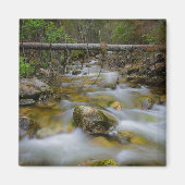 Rocky Forest kreek magneet (Voorkant)