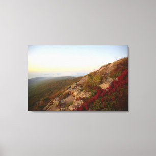 Rocky Hillside, Red Flowers, Acadia National Park Canvas Afdruk