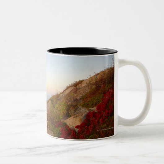Rocky Hillside, Red Flowers, Acadia National Park Tweekleurige Koffiemok (Rechts)