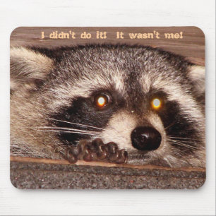 Rocky, ik heb het niet gedaan.  Ik was het niet. Muismat