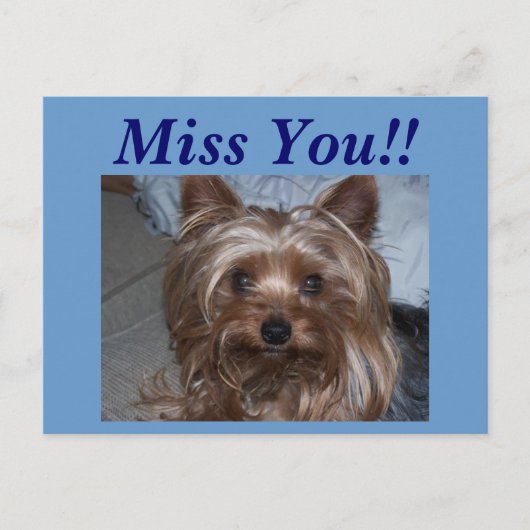 Rocky "Miss You!" Briefkaart (Voorkant)