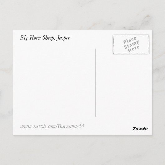 Rocky Mountain Big Horn Sheep Briefkaart (Achterkant)