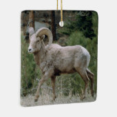 Rocky Mountain Big Horn Sheep Ceramic Ornament (Rechts)